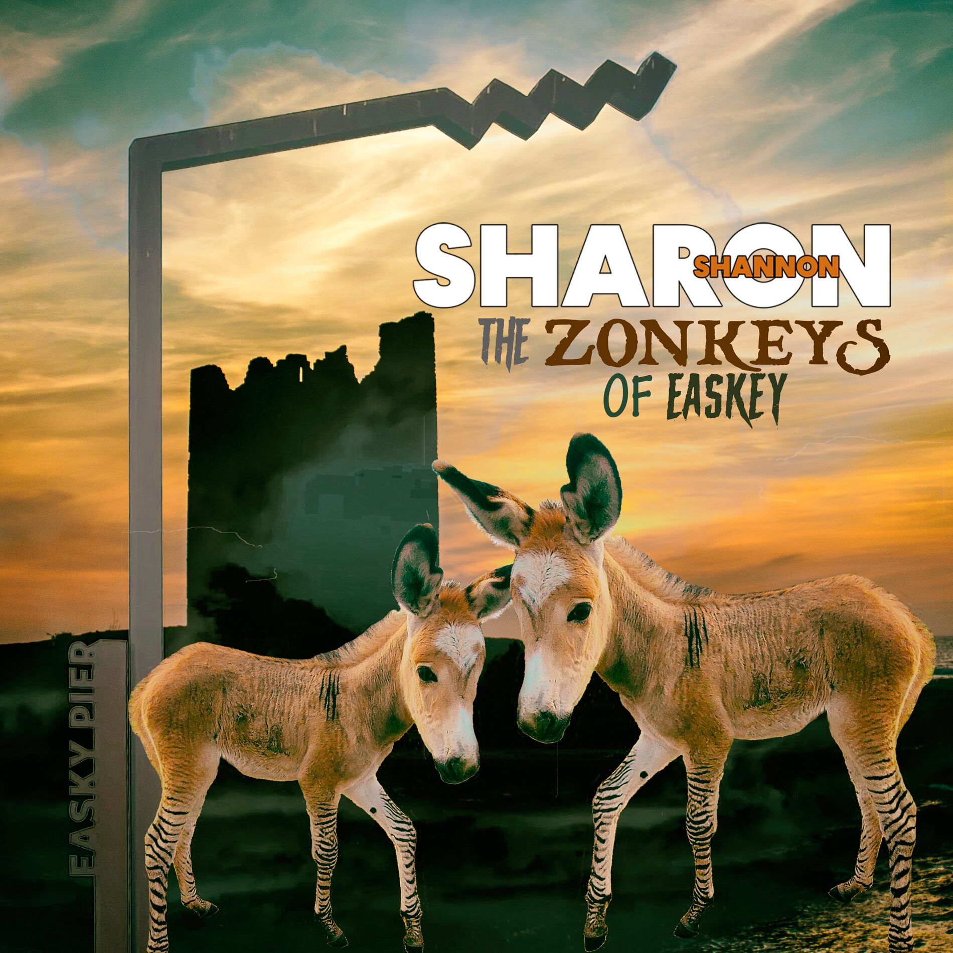 Album cover of The Zonkeys of Easkey