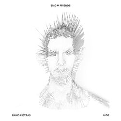 Cover of Hide
