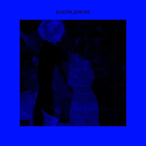 puzzle_pieces