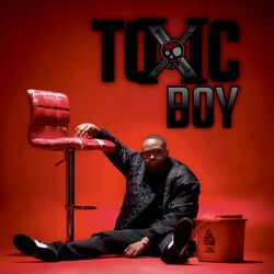 Cover of Toxic Boy