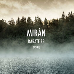 Cover of Karate