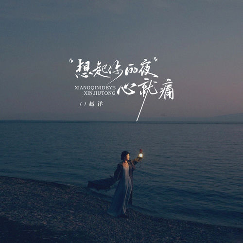 想起你的夜心就痛