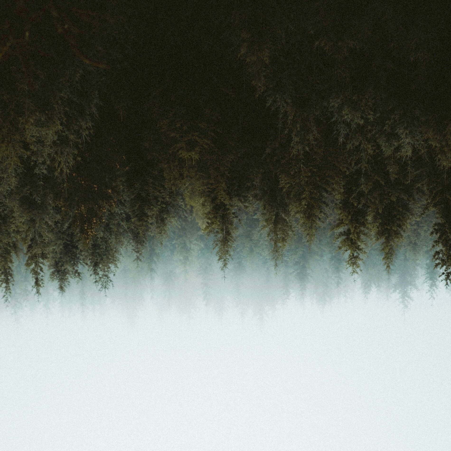 Album cover of in between seasons