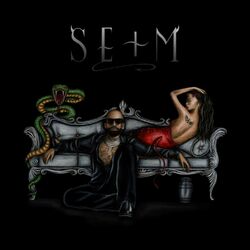Cover of Me Gusta Tu Flow