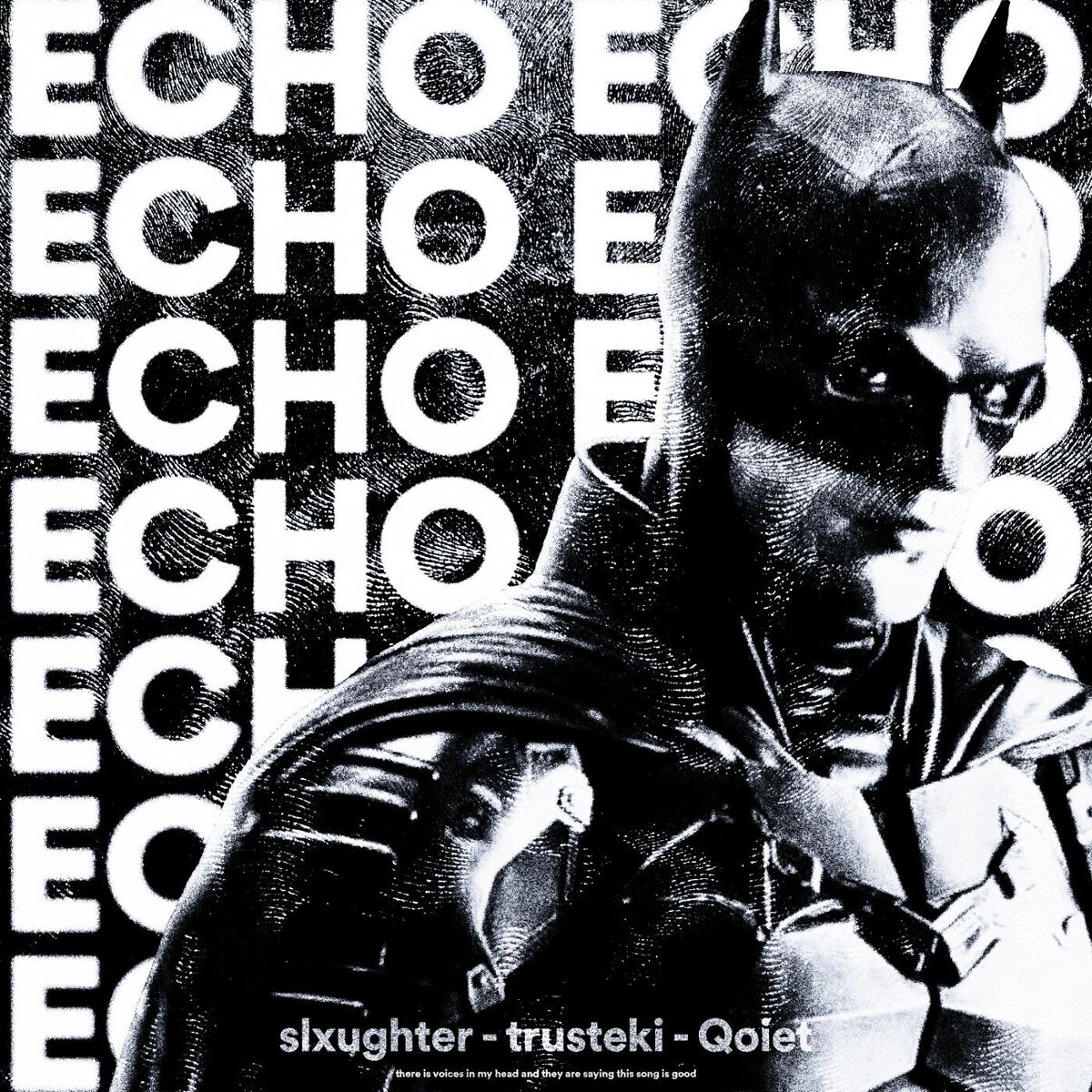 Album cover of echo