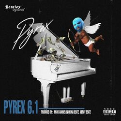 Cover of Pyrex 6.1