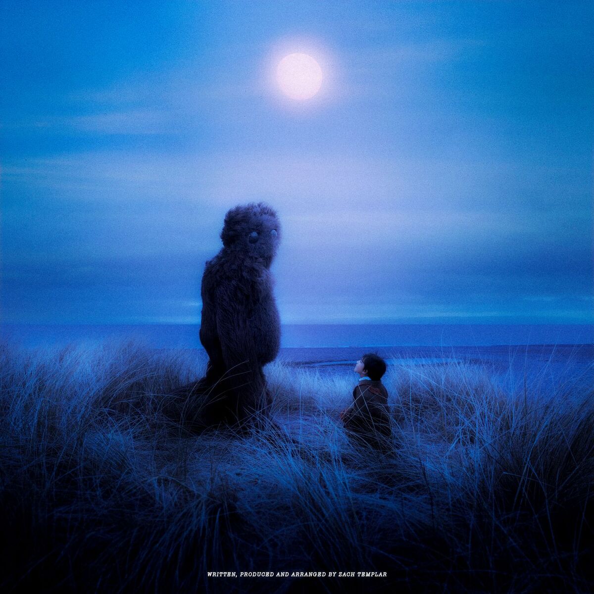 Album cover of give me your heart