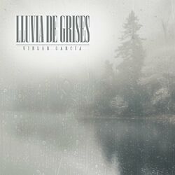 Cover of Lluvia de Grises