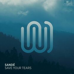 Cover of Save Your Tears