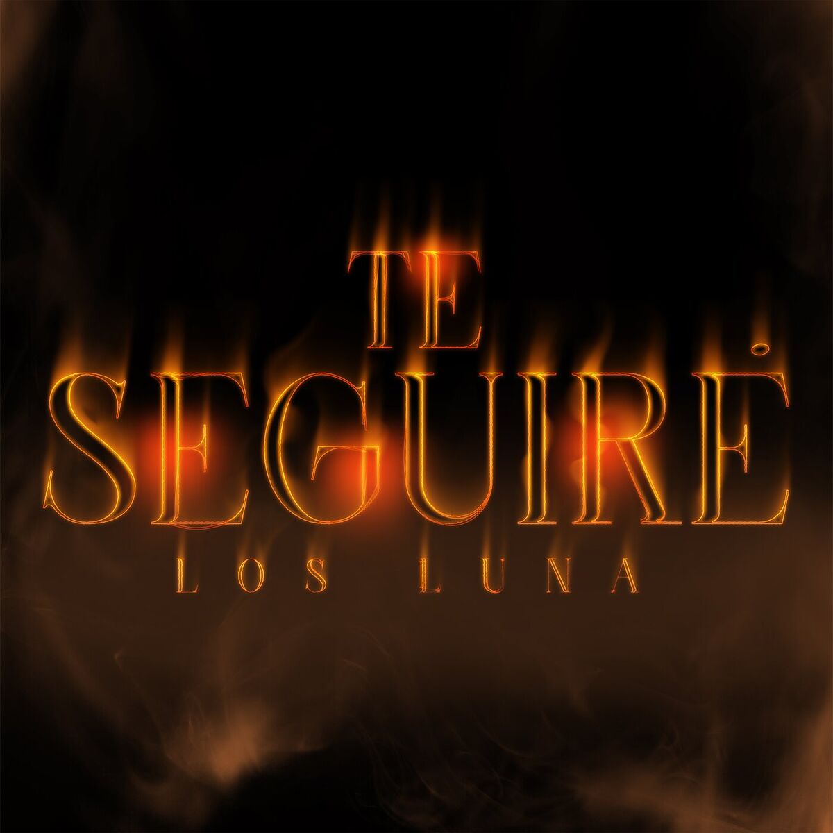 Album cover of Te Seguiré