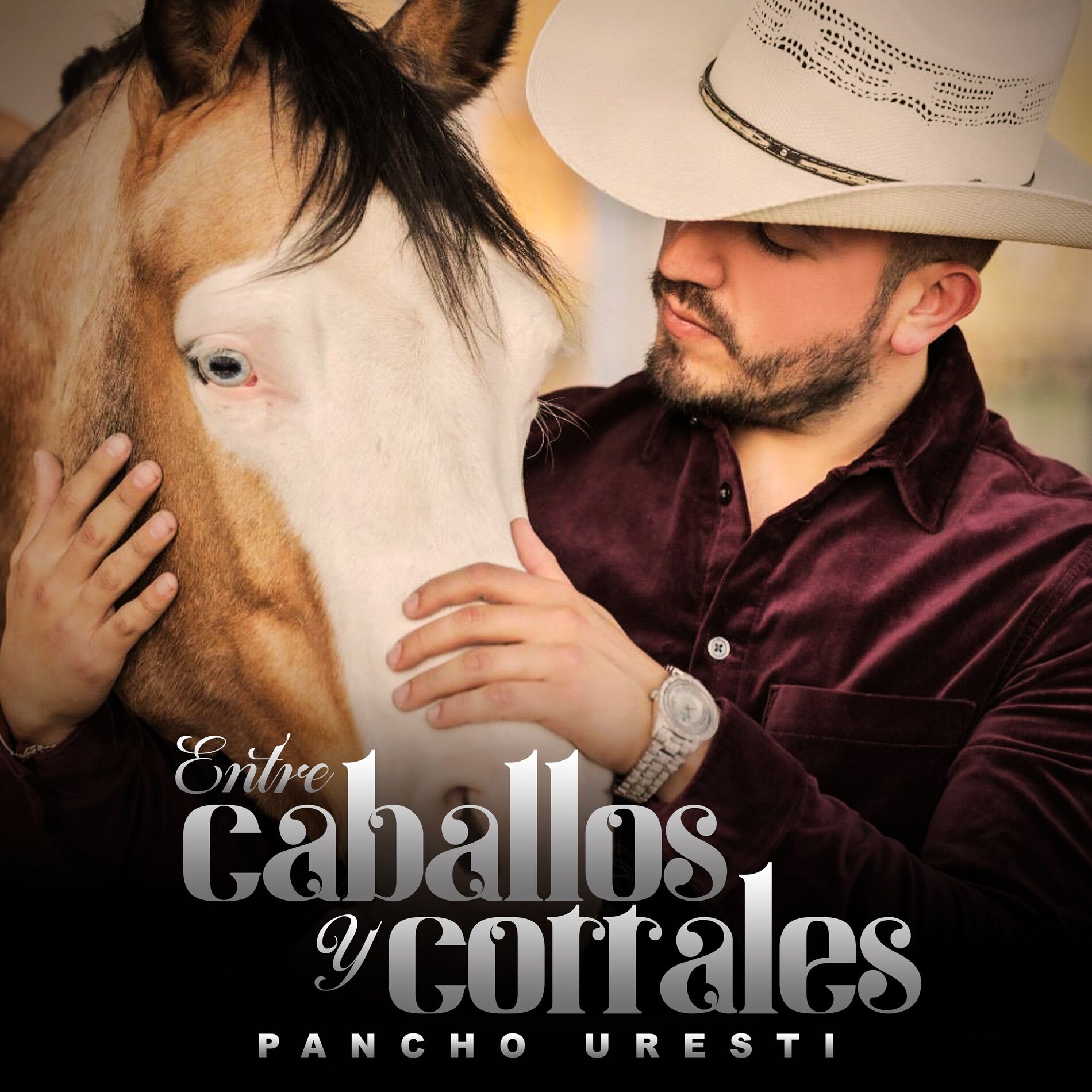 Album picture of Entre Caballos y Corrales