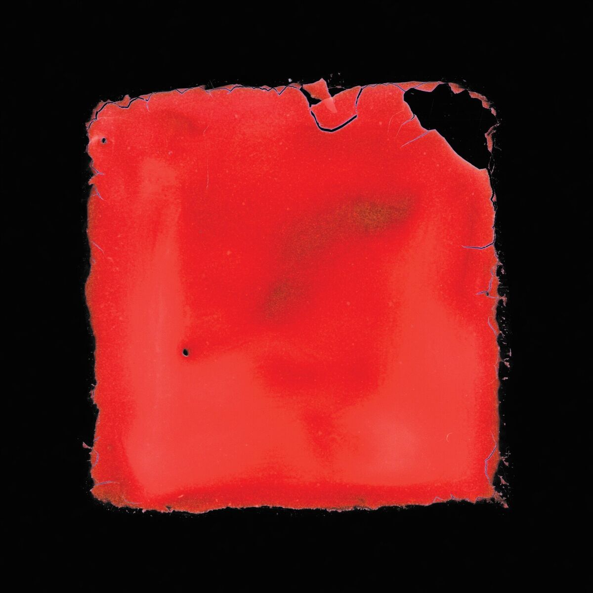 Album cover of last chance to see