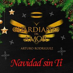 Cover of Navidad Sin Tí