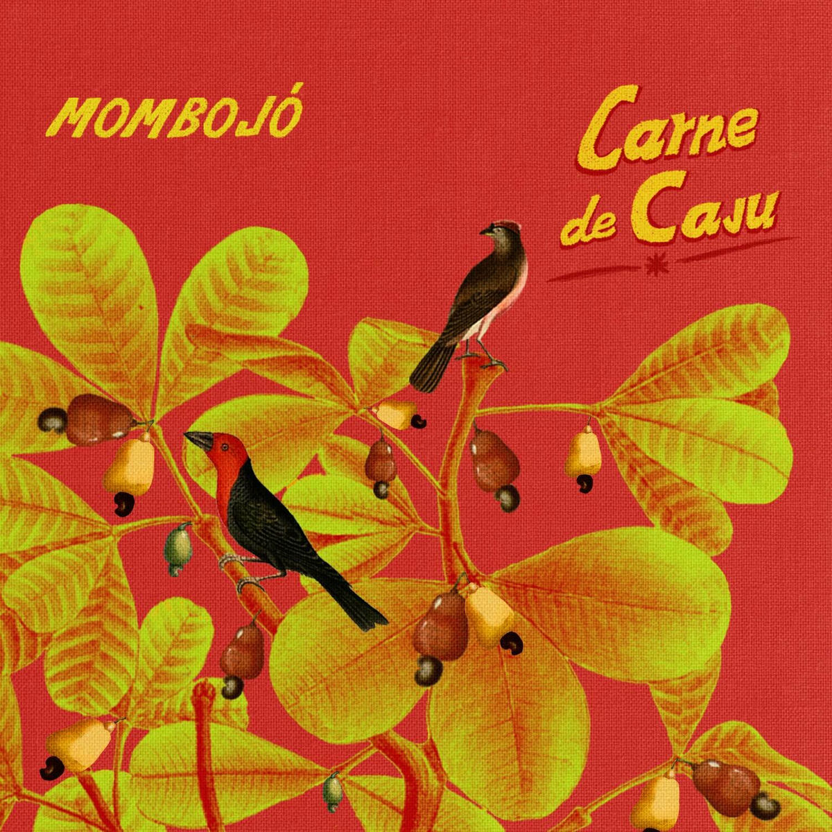 Album cover of Carne de Caju