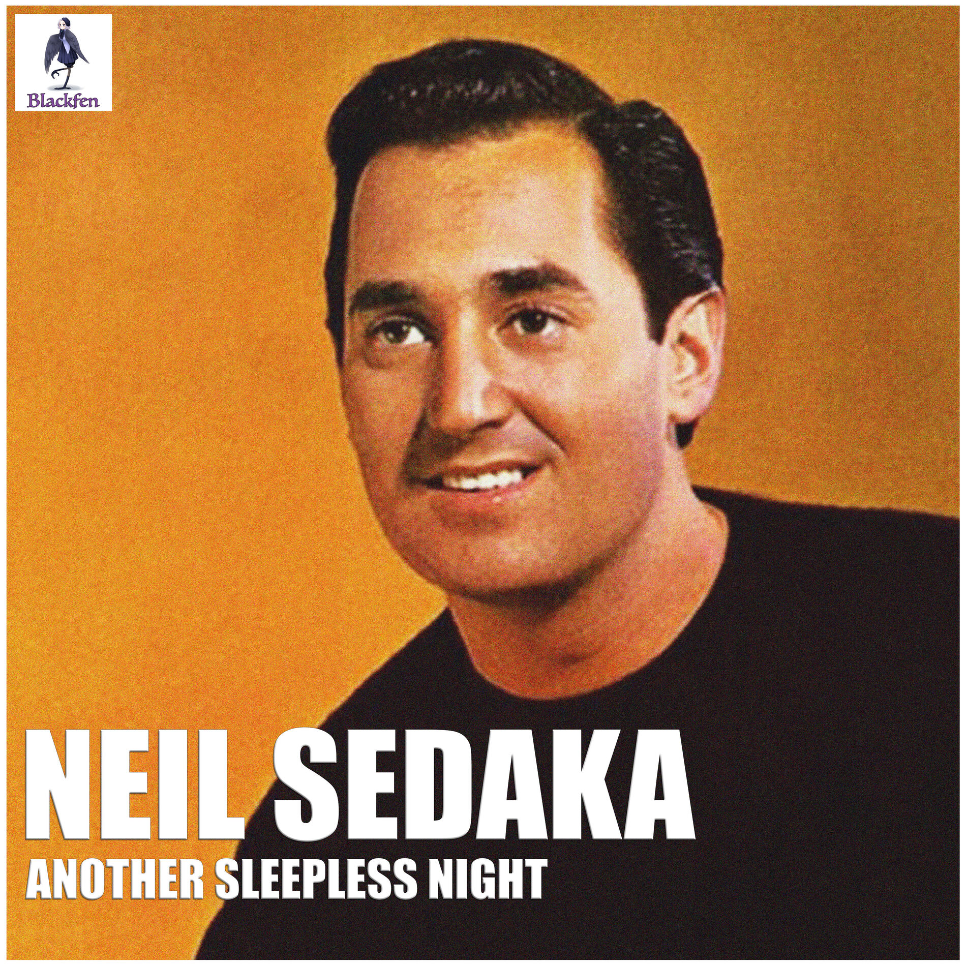 Album cover of Another Sleepless Night