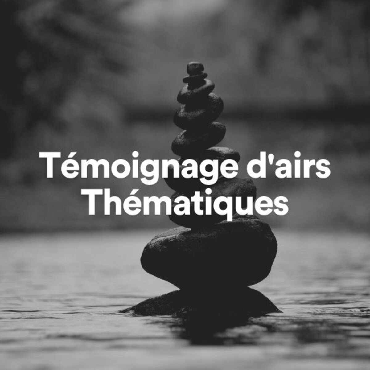 Album cover of Témoignage d'airs Thématiques