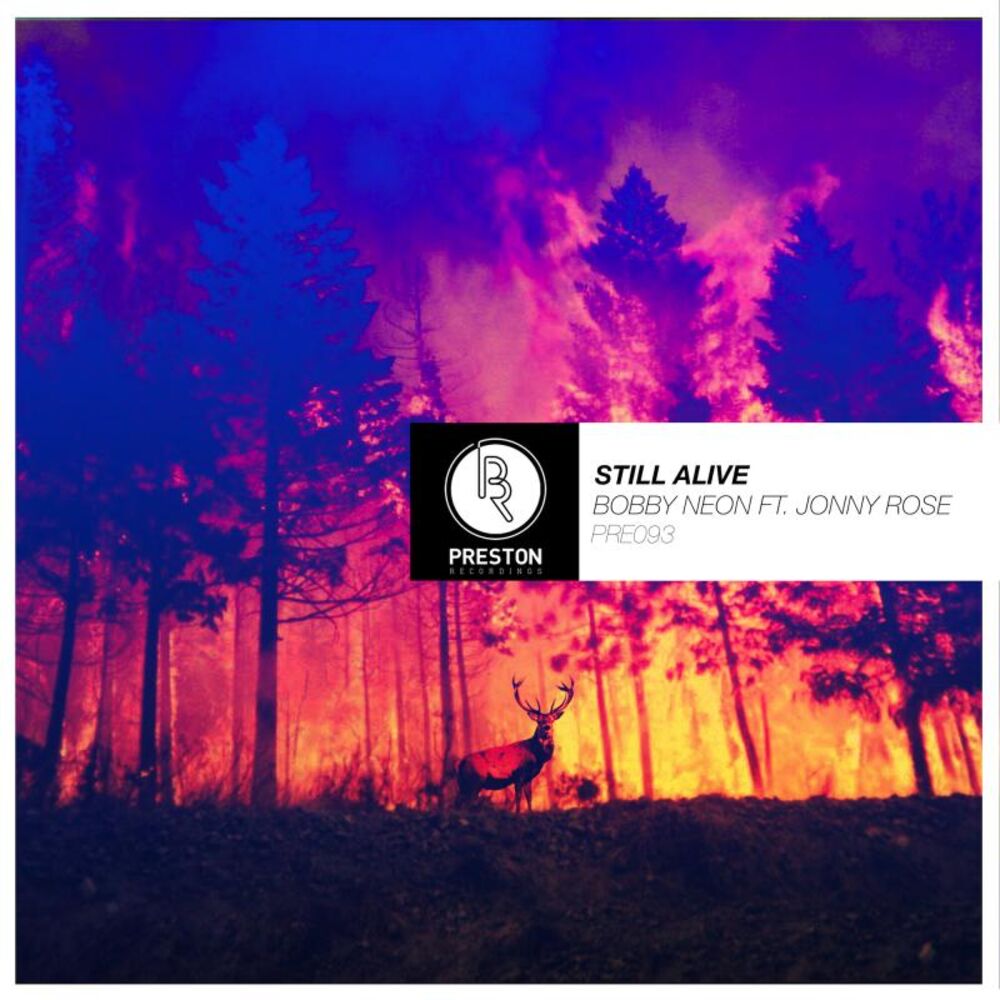 Picture of Still Alive