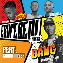 Cover of Ebufebeni Pt. 2