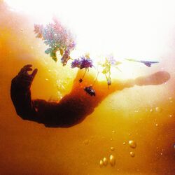 Cover of Led By The Sun (Remixes)