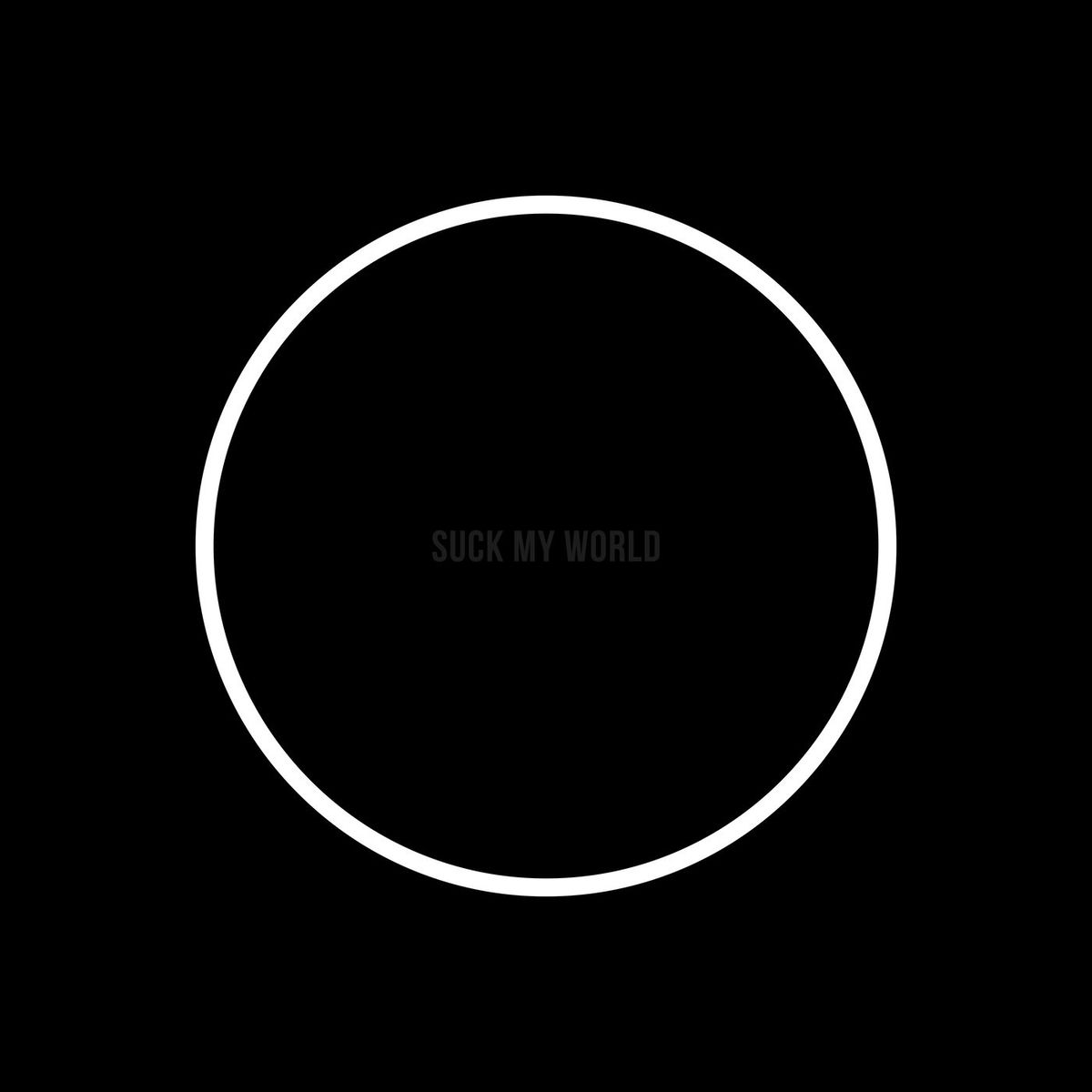 Album cover of Slowly but surely I go on