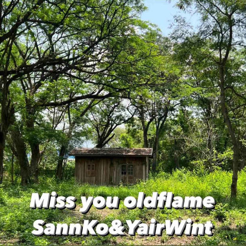 Miss You Oldflame