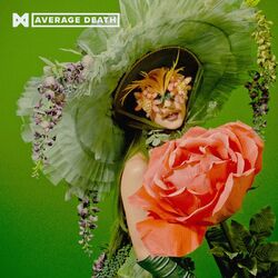 Cover of AVERAGE DEATH