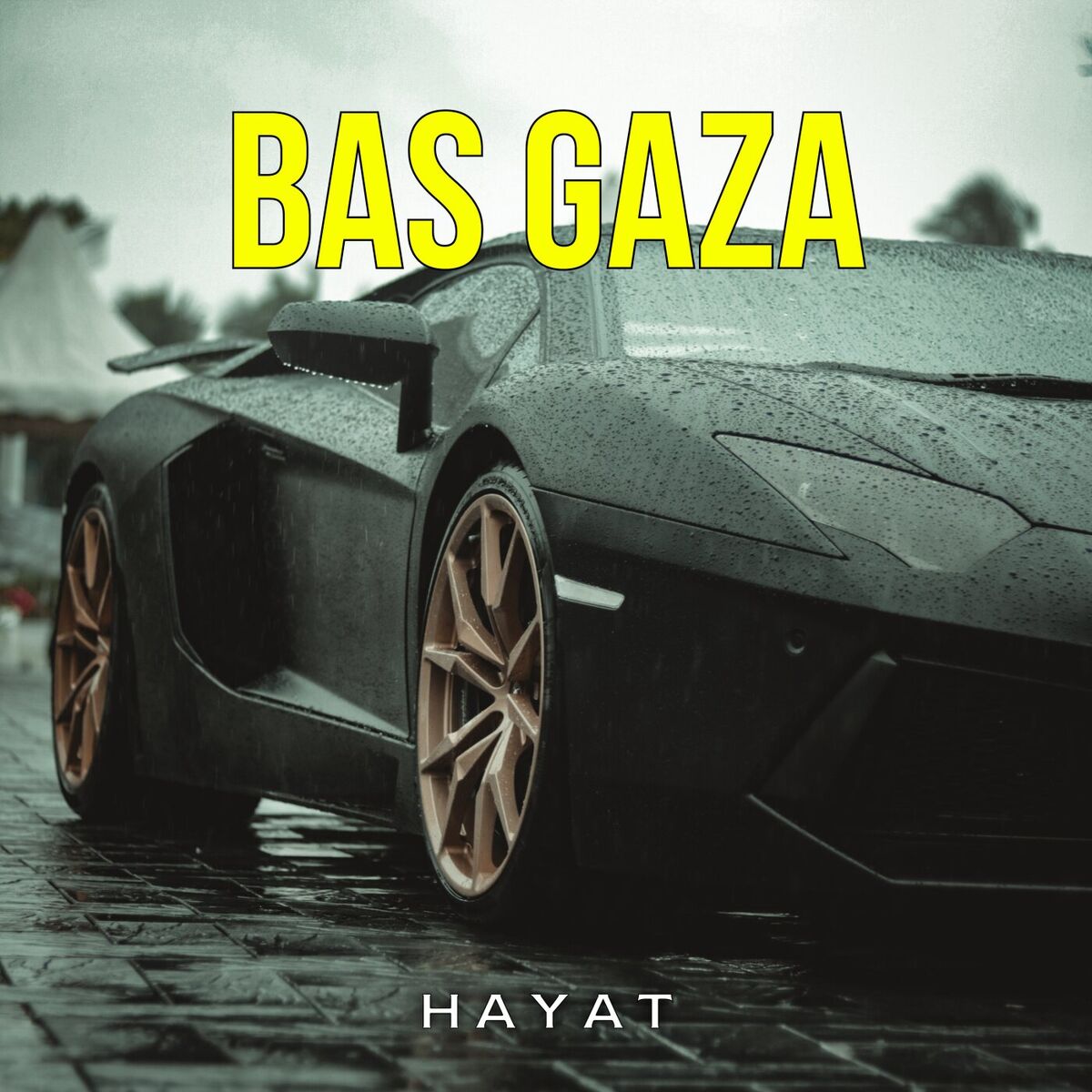 Album cover of Bas Gaza