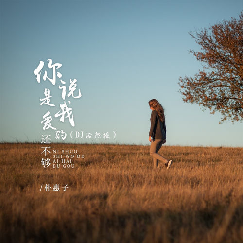 你说是我爱的还不够 (Dj浩然版)