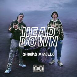 Cover of Head Down