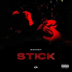 Cover of Stick