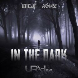 Cover of In the Dark (Urah Remix)