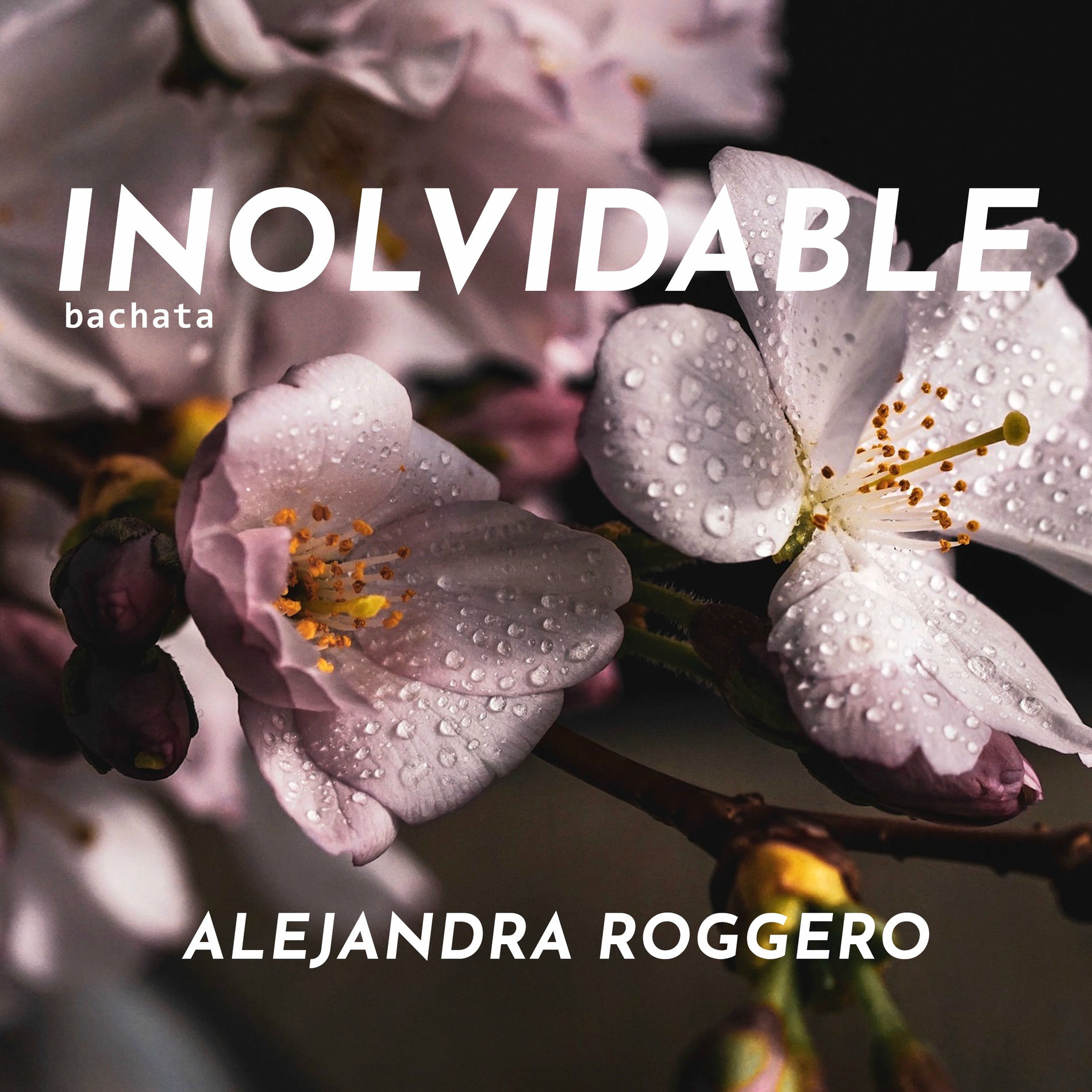 Album cover of Inolvidable