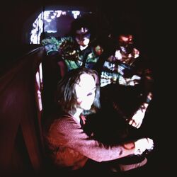 Cover of Night Beats