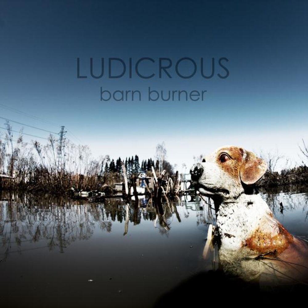 Picture of Barn Burner