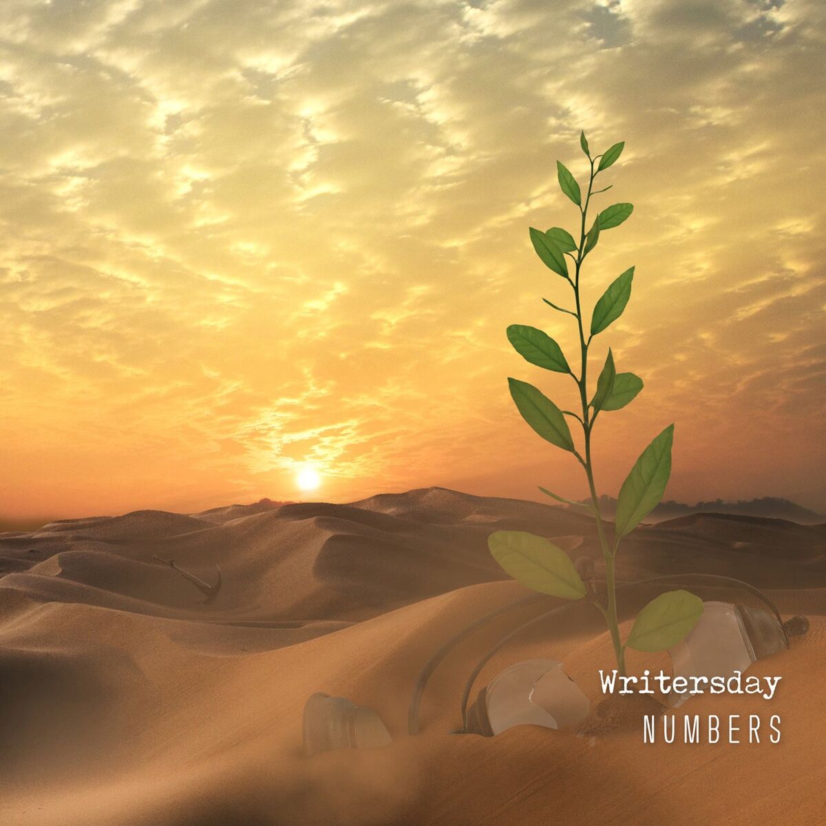 Album cover of Numbers