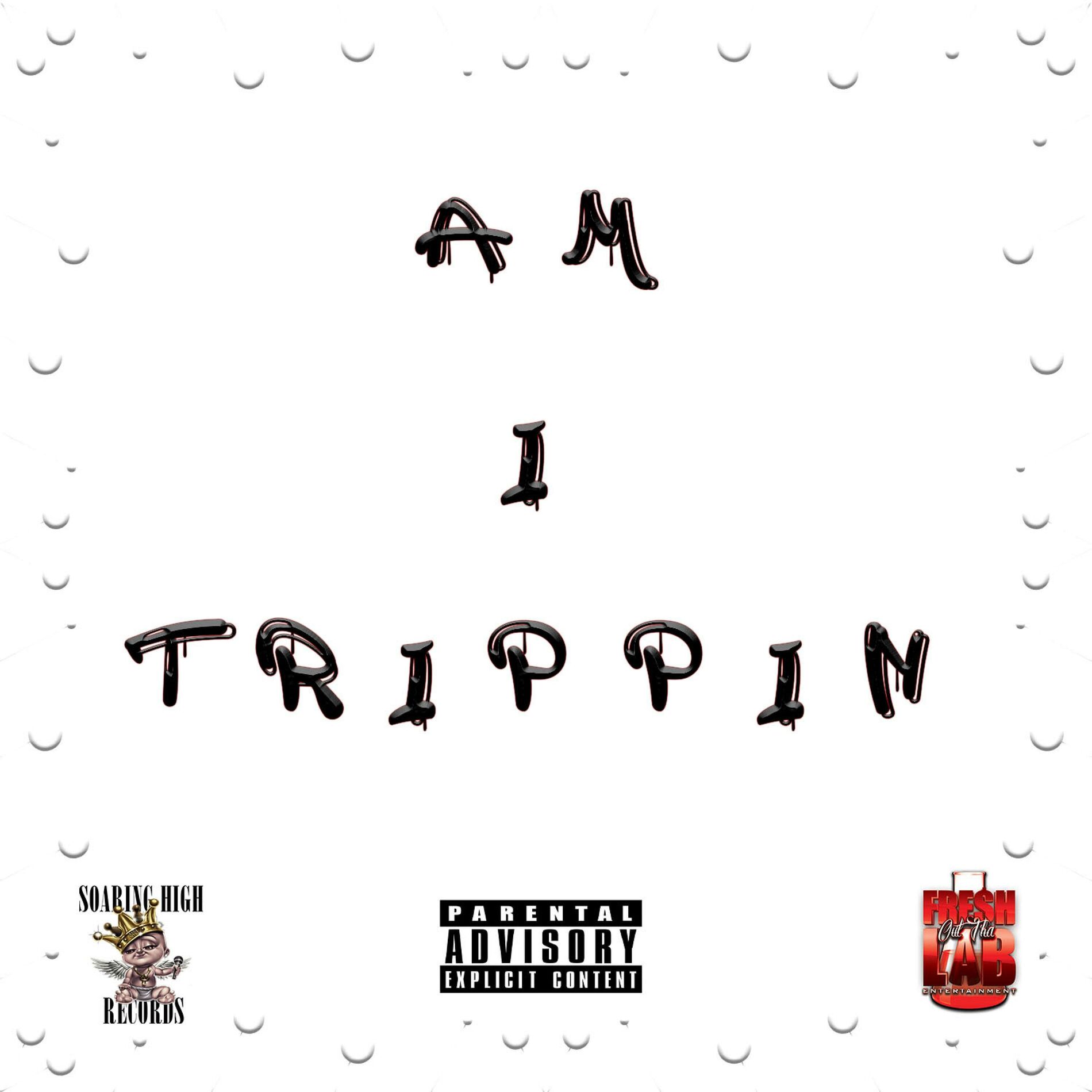 Album cover of AM I TRIPPIN (feat. SILK)