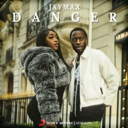 Cover of Danger