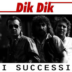 Cover of Dik Dik - I Successi