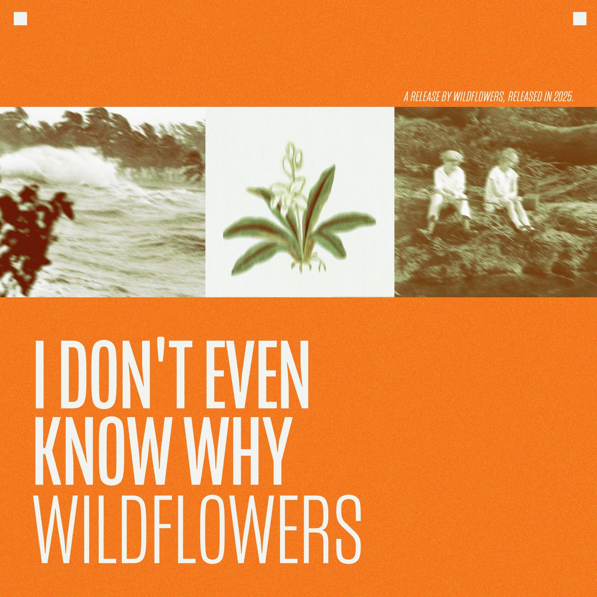 Album cover of I Don't Even Know Why