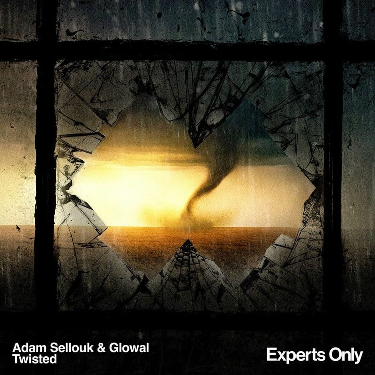 Album cover of Twisted