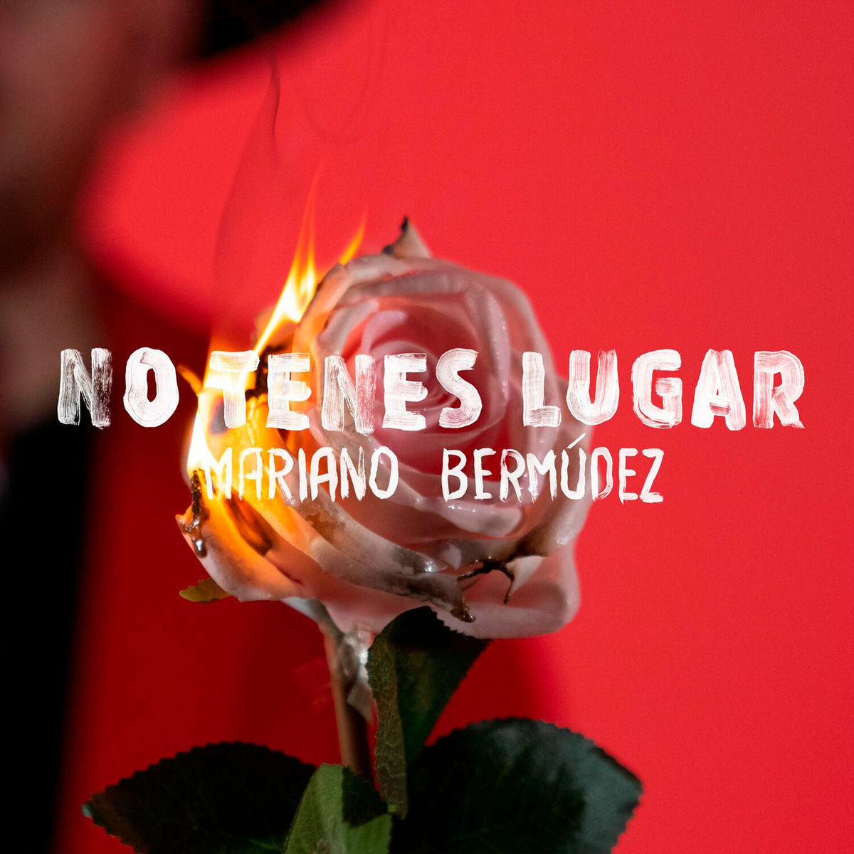 Album cover of No Tenes Lugar