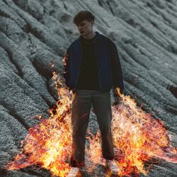 Cover of Standing In The Fire