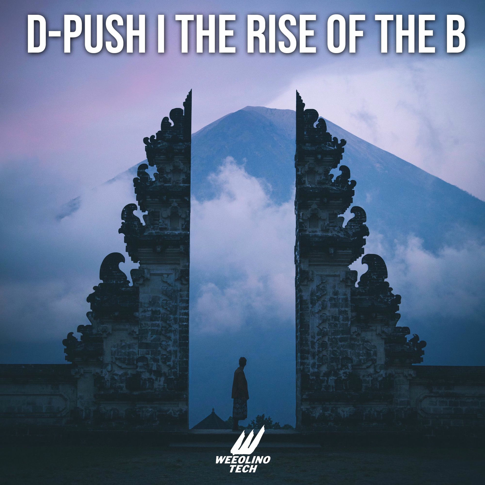 Album cover of The Rise Of The B