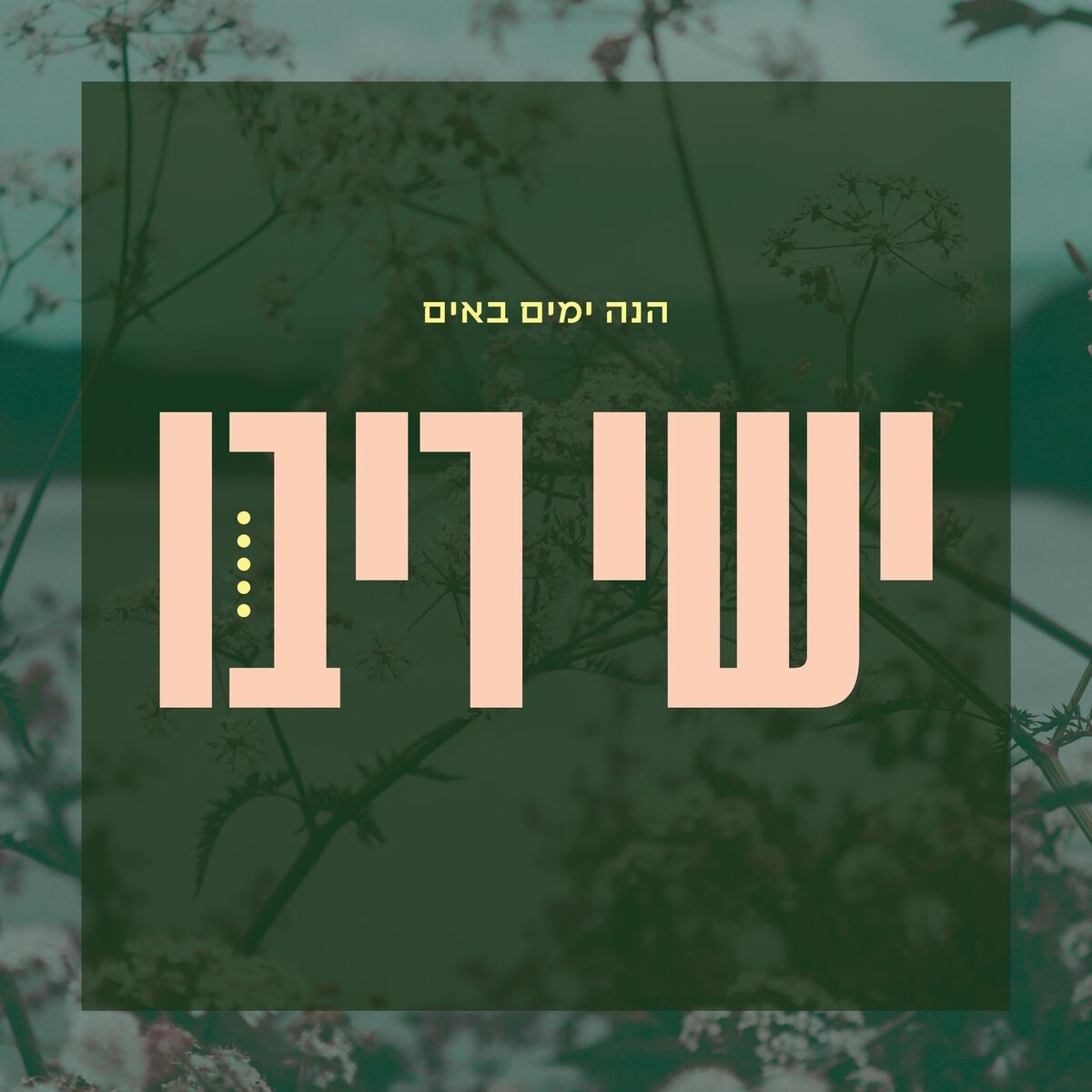 Album cover of הנה ימים באים