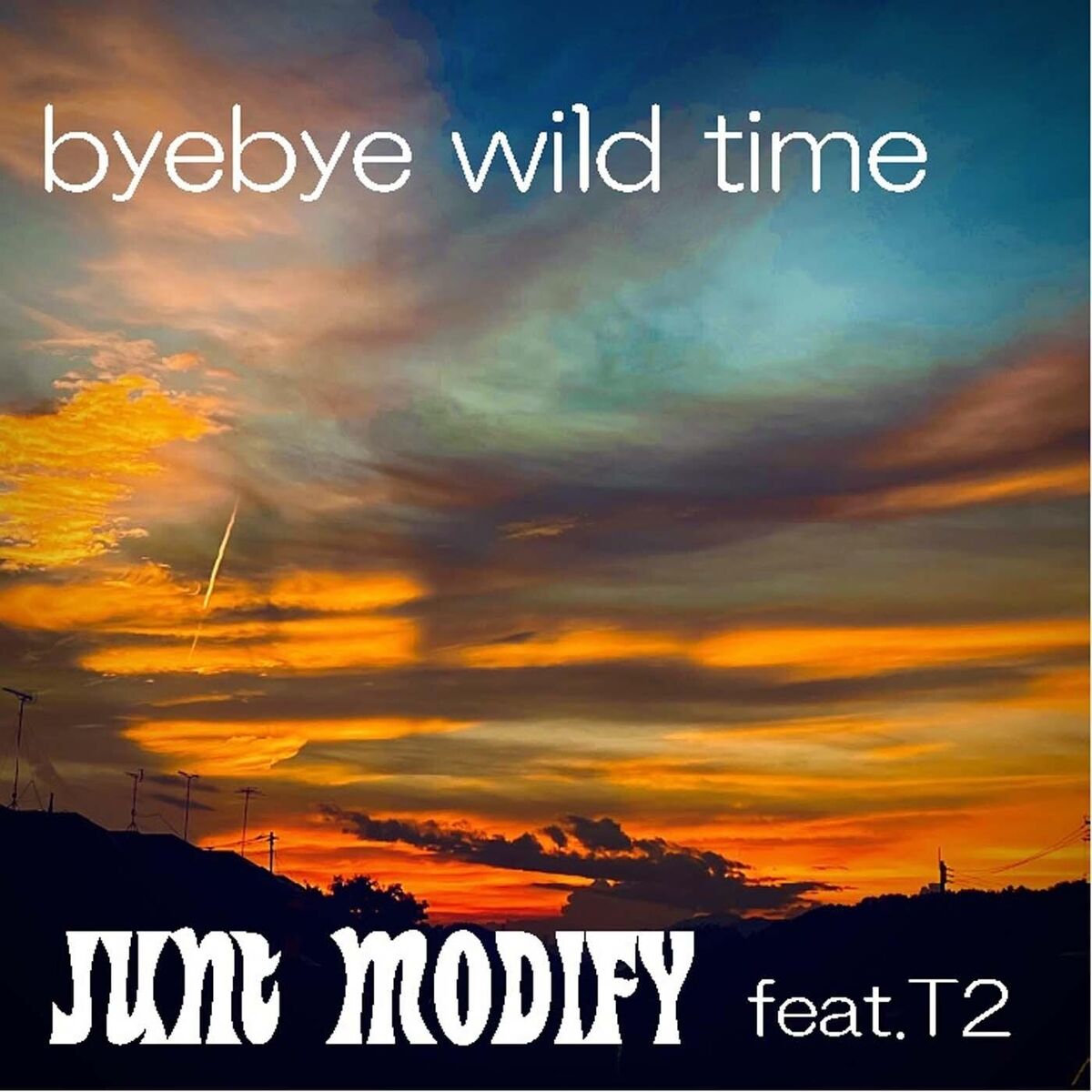 Album cover of Byebye Wild Time