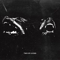 Cover of Two of a Kind