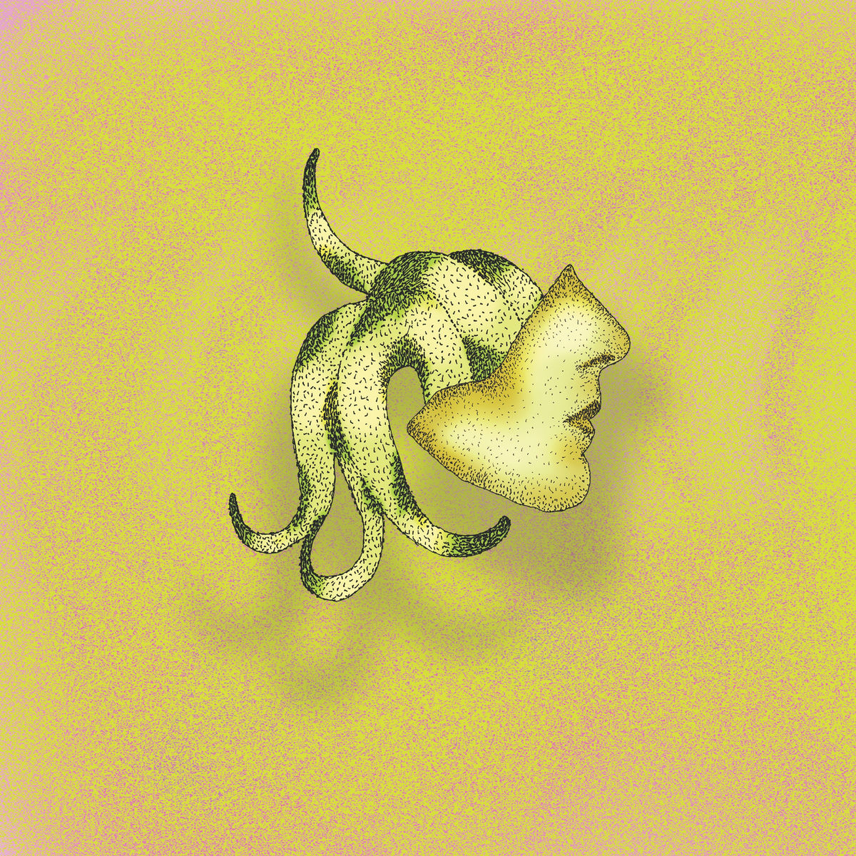 Album cover of Sleeping And Falling