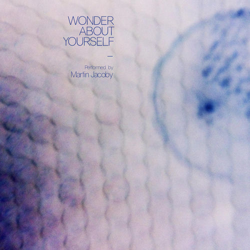 Descargar Written on the Sky - Martin Jacoby MP3