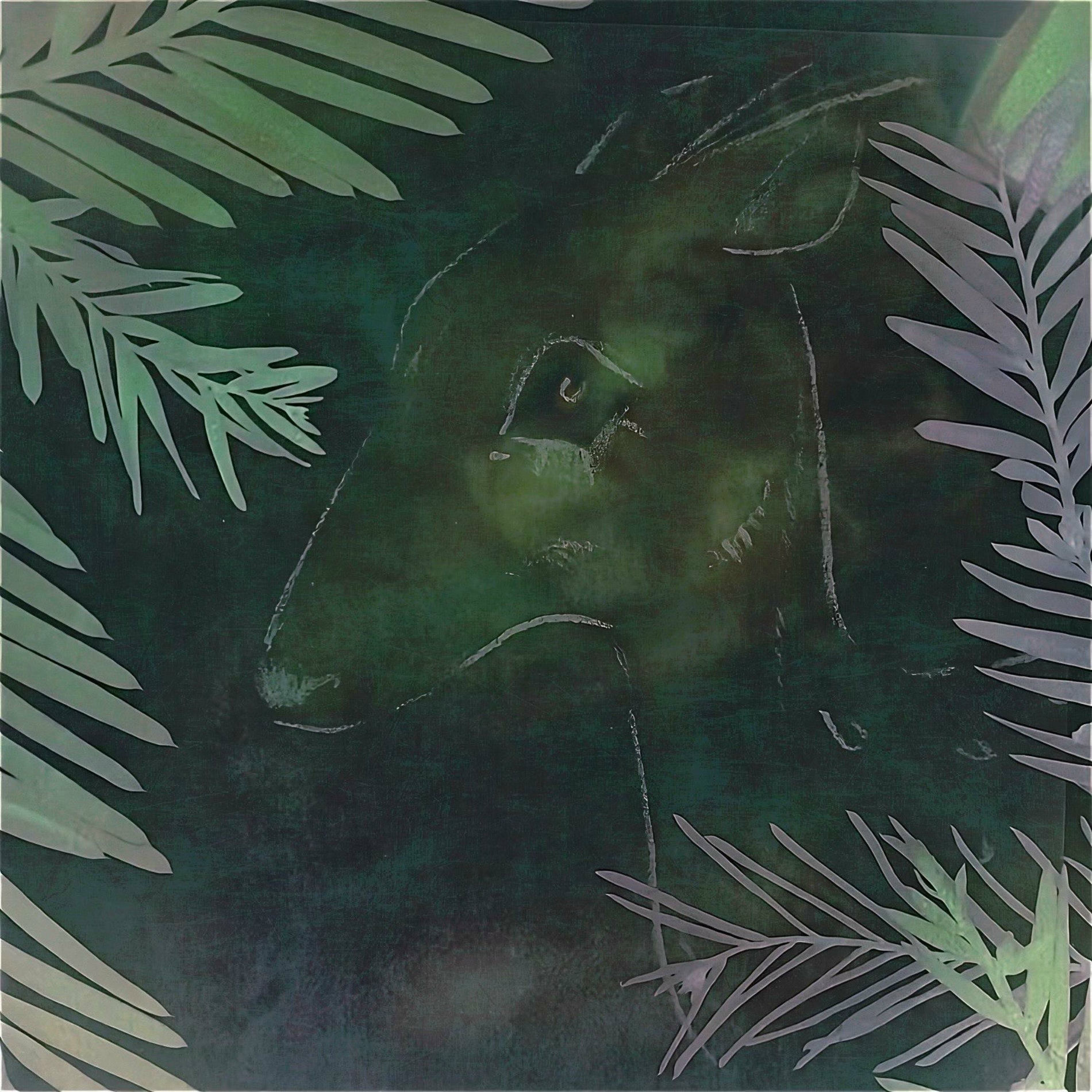 Album cover of The Doe