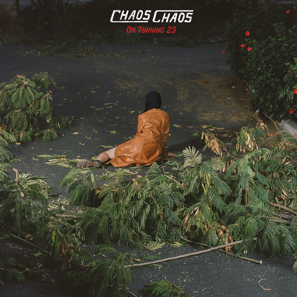 Album cover of On Turning 23